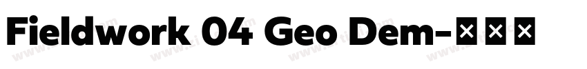 Fieldwork 04 Geo Dem字体转换 Fieldwork 04 Geo Dem字体转换